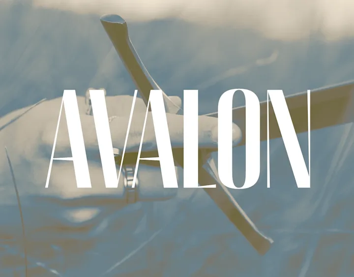 Cover image for Avalon