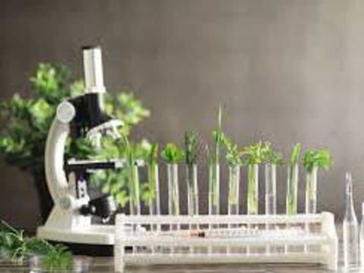 Cover image for GC-MS Analysis of Beta Vulgaris Extract