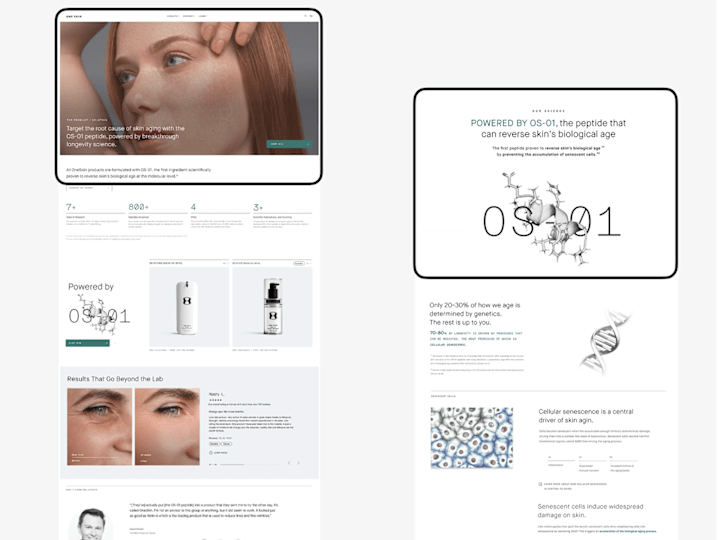 Cover image for Framer Multi-Page Website — Design & Development