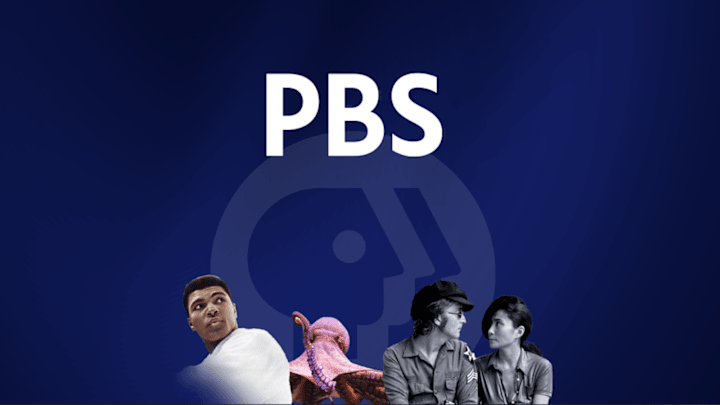 Cover image for PBS Streaming Ecosystem Design