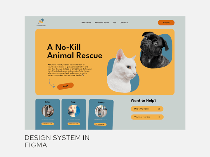 Cover image for Web-Based Design System for Furever Friends Rescue