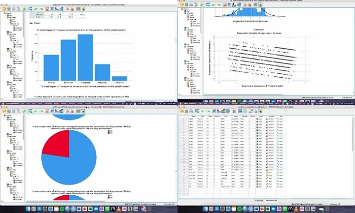 Cover image for I will make complete SPSS report