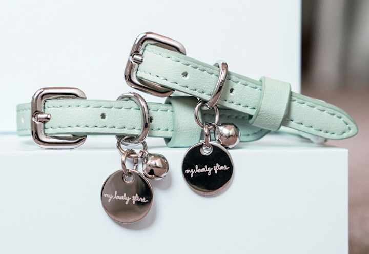 Cover image for Vegan Leather Cat Collar