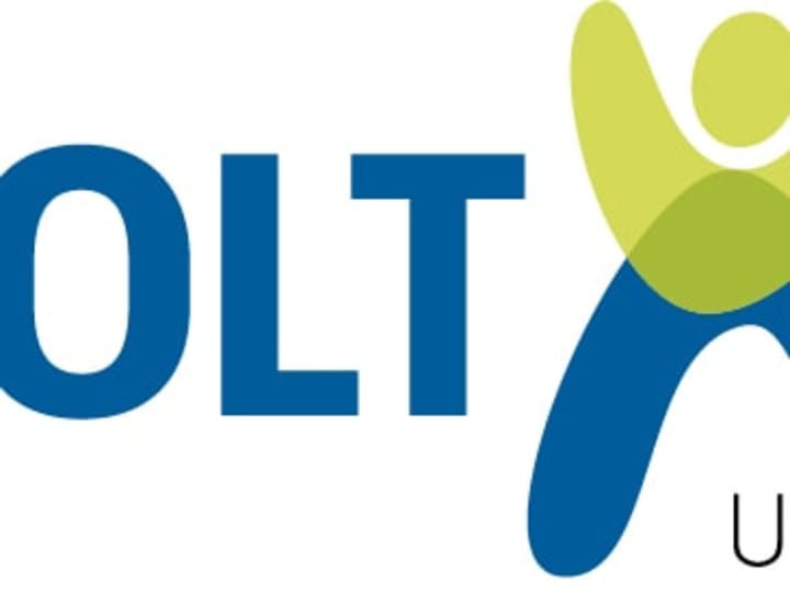 Cover image for Holt International