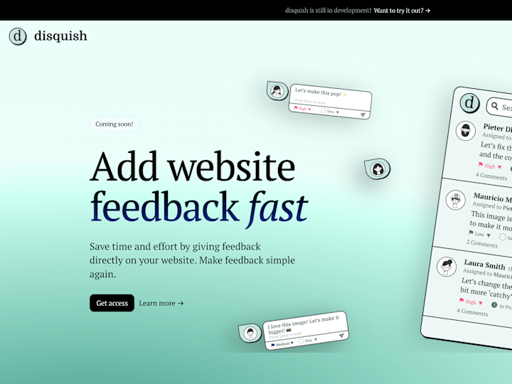 Cover image for Disquish Landing Page Development