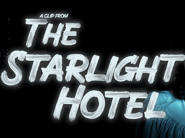 Cover image for The Starlight Hotel