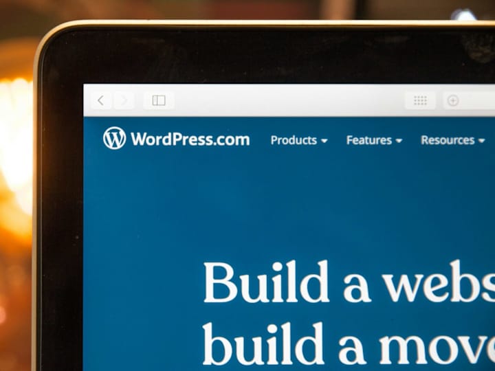 Cover image for WordPress Specialist