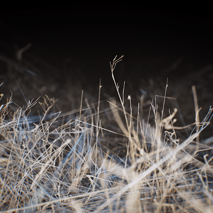 Cover image for Oat M - Off Season EP Cover Design