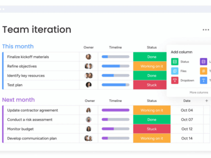 Cover image for Project Management & Execution Performance Overview