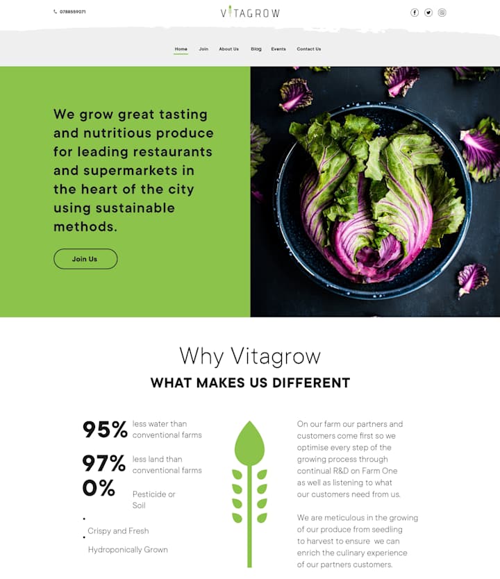 Cover image for VITAGROW WEBSITE