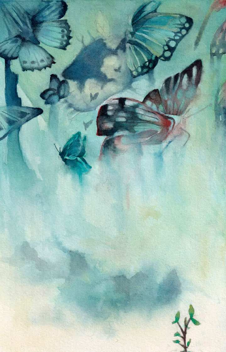 Cover image for Clean