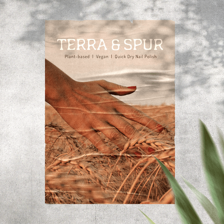 Cover image for Brand Identity Design and Packaging Design - Terra and Spur