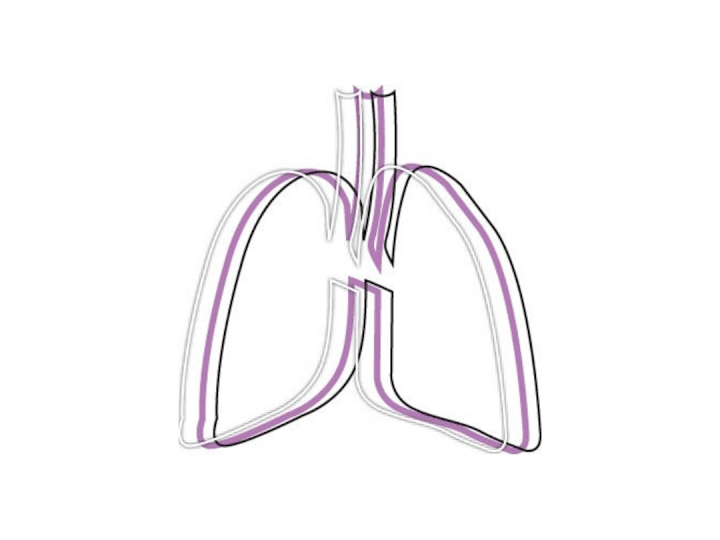 Cover image for The Lung Wellness Clinic