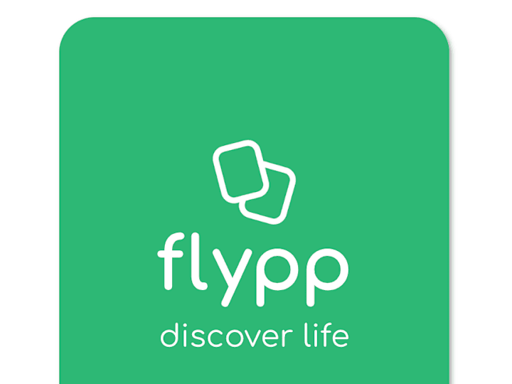 Cover image for Flyppapp