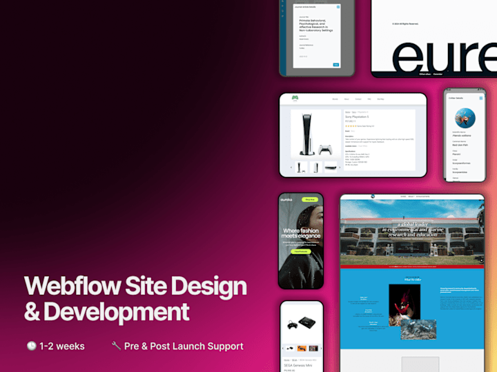 Cover image for Webflow Site Design and Development