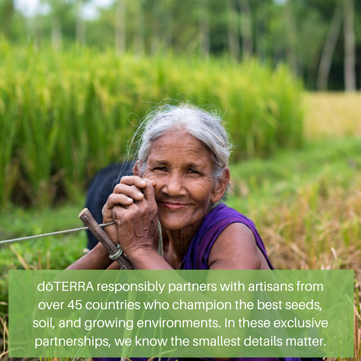 Cover image for From Seed to Soul: How doTERRA's Mission Changes Lives