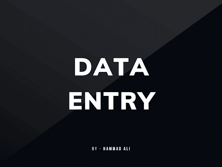 Cover image for Data Entry Expert