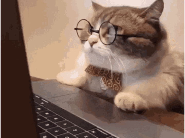 Cover image for DeFi startup social content