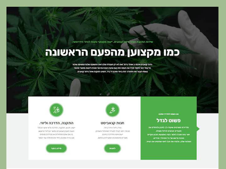 Cover image for A Guide For Growing Quality Cannabis - Landing Page