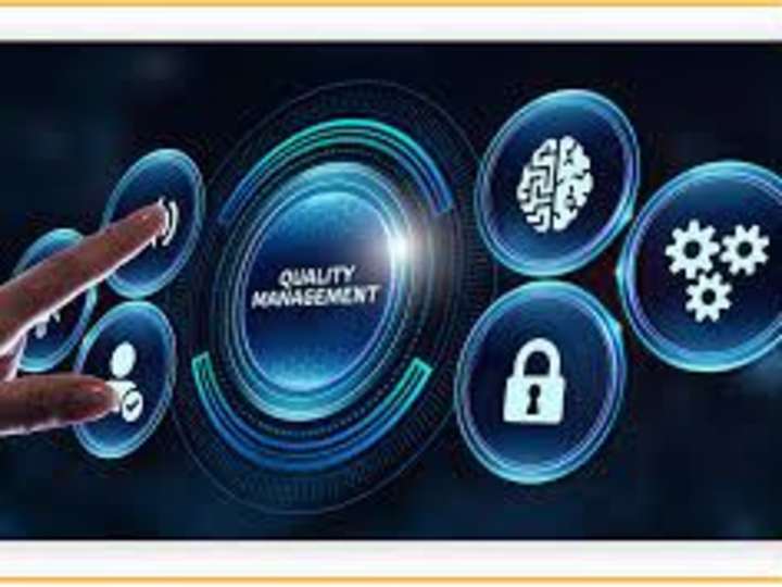 Cover image for Quality Management Systems and IMS