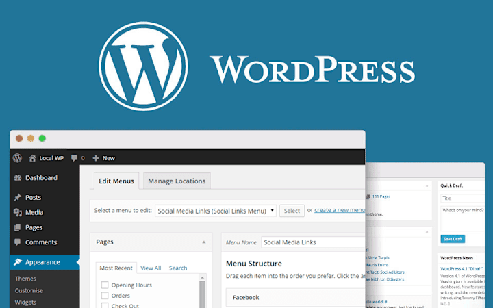Cover image for WordPress Website Design and Development