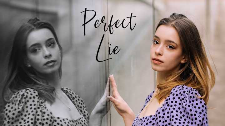 Cover image for Perfect Lie - Antonia Radulescu