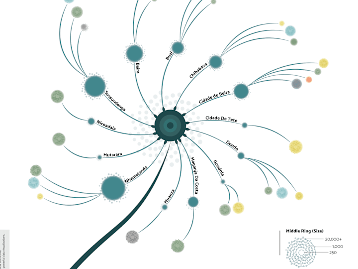 Cover image for Data analyst and designer