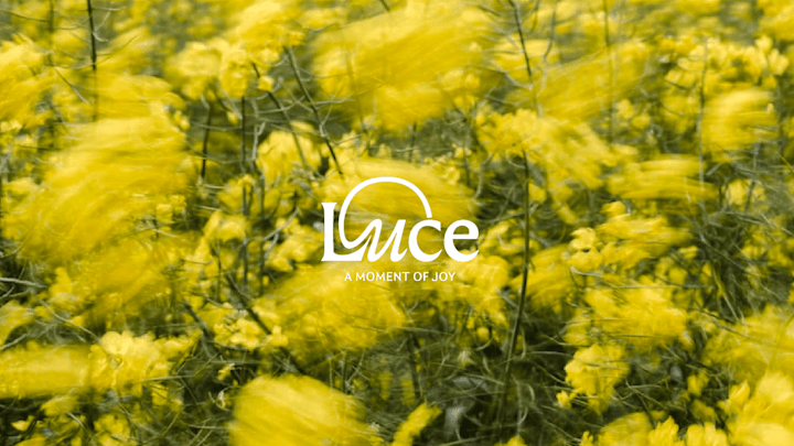 Cover image for Luce - Vibrant Sustainable Candle Brand