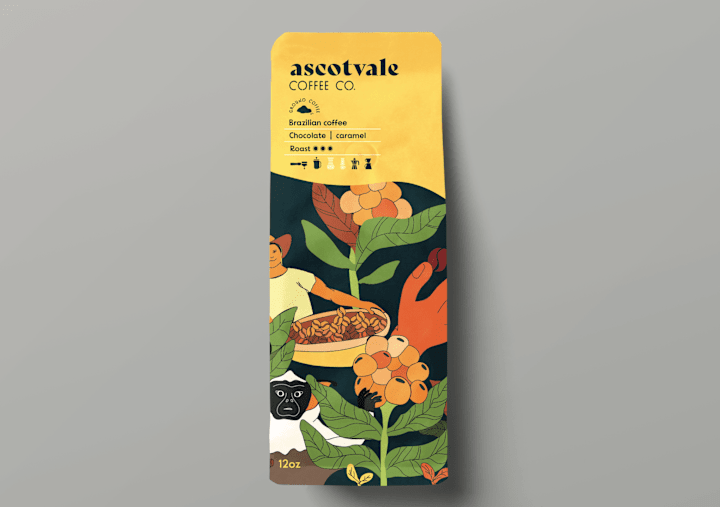 Cover image for Brand Identity & Packaging Design - Ascotvale Coffee Co.