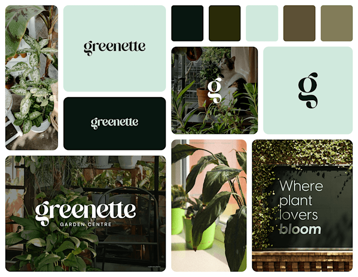 Cover image for Greenette Garden CentreGreenette celebrates the beauty of plants