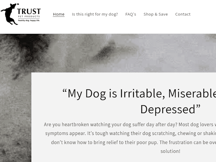 Cover image for Sales Page for Dog Health Supplement