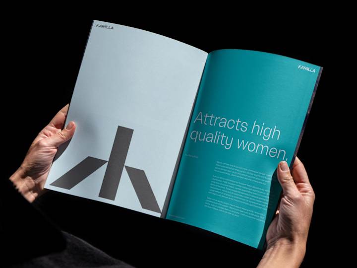 Cover image for Kamilla