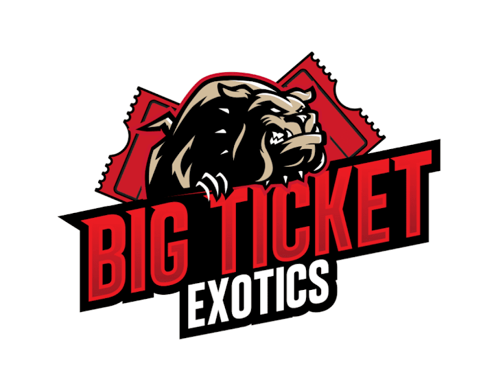 Cover image for Big Ticket Logo Development