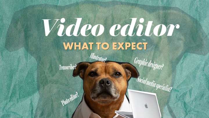 Cover image for What to Expect from a Video Editor