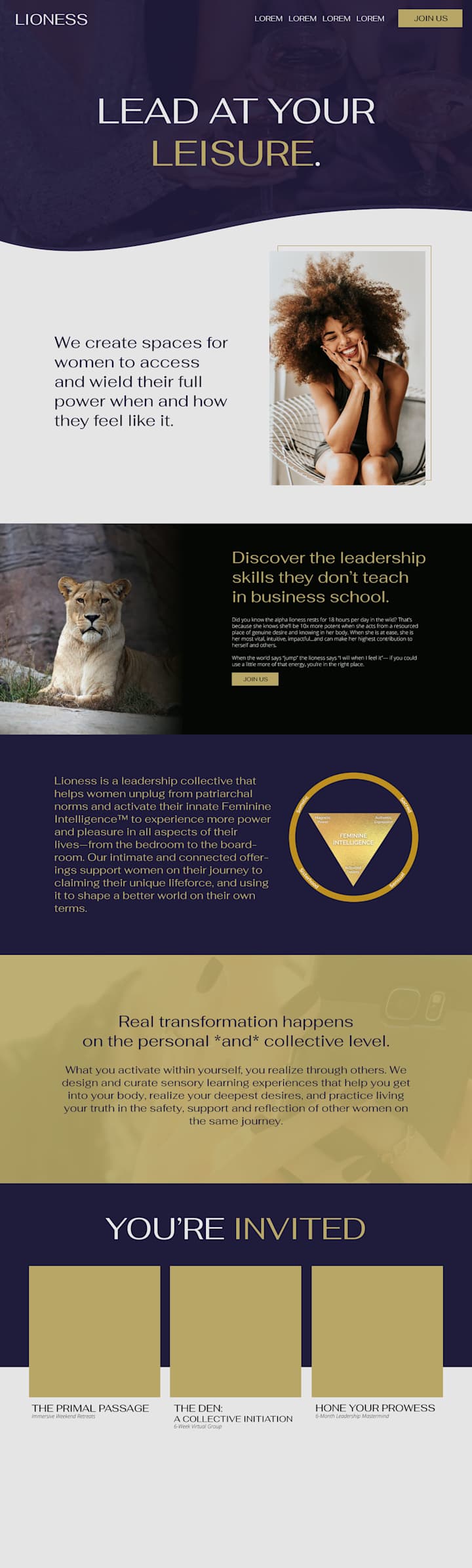 Cover image for Lioness Squarespace Website