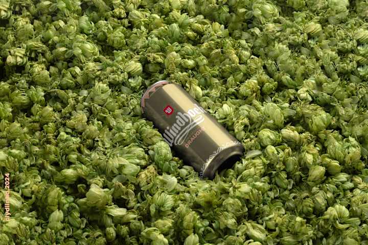 Cover image for Brewvolution: Rethinking Beer Packaging