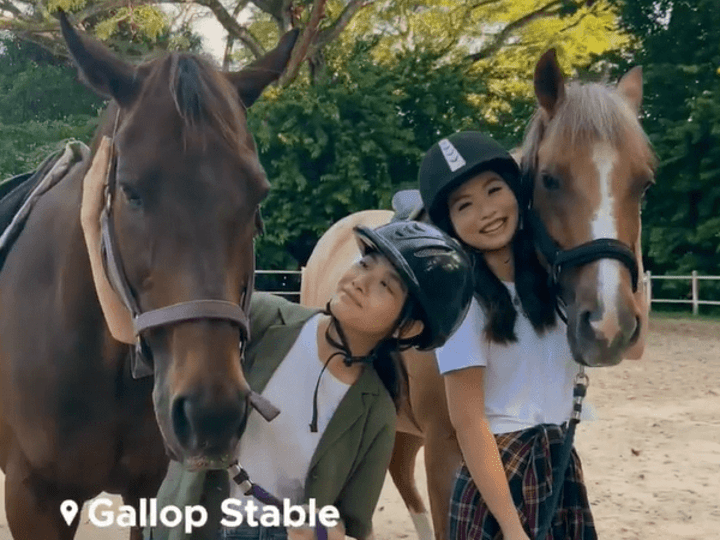 Cover image for On-screen Talent | SingapoRediscovers Singapore Tourism Board -…