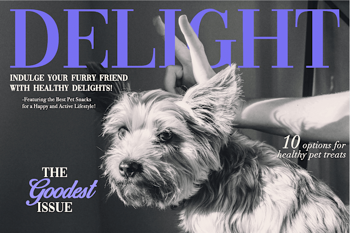 Cover image for Delight, healthy pet treats. Brand Identity + Packaging Design. 