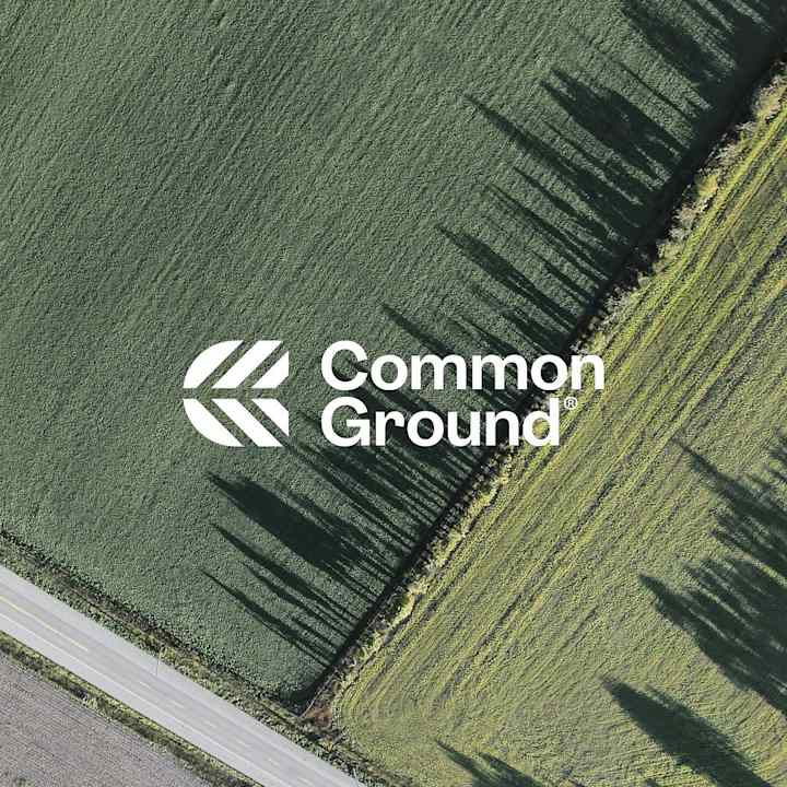 Cover image for Common Ground Brand Identity