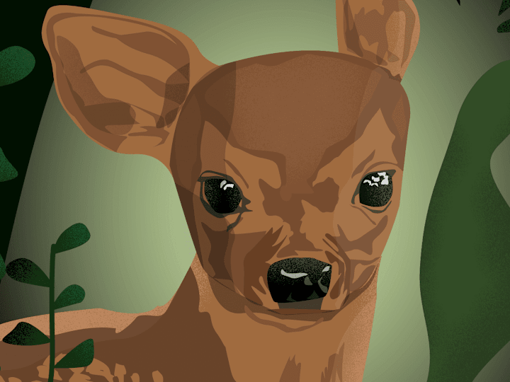 Cover image for Behance