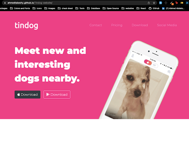 Cover image for TinDog website