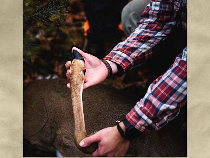 Cover image for My First Harvest — Blot and Blood