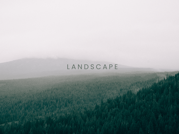 Cover image for Landscaping Ad