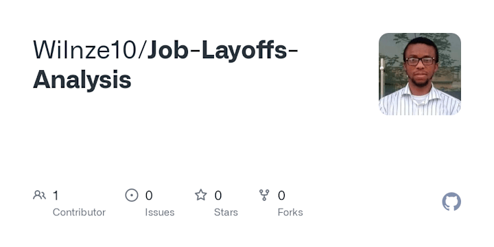 Cover image for Wilnze10/Job-Layoffs-Analysis