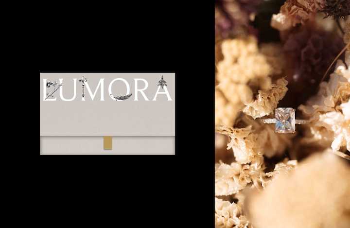 Cover image for Lumora · Brand Identity Design + AI