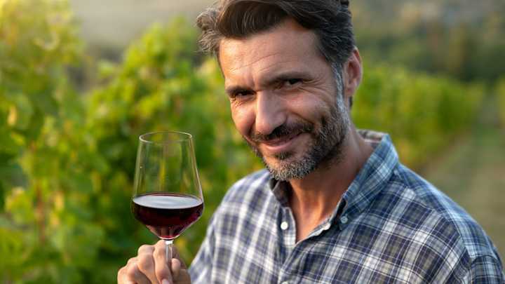 Cover image for Is There A Connection Between Red Wine And Gut Health?