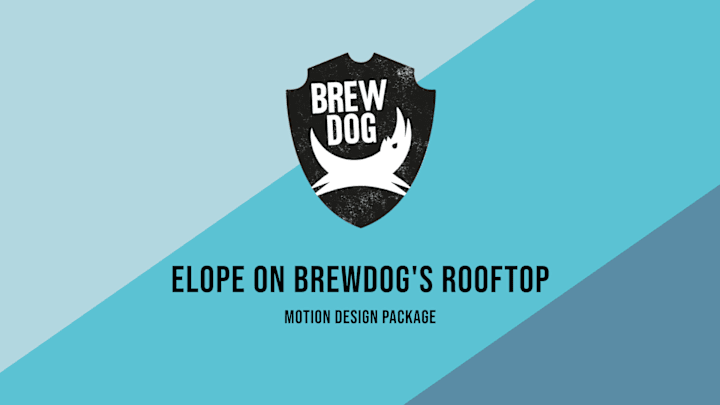 Cover image for Brewdog - Digital Ads Motion Package