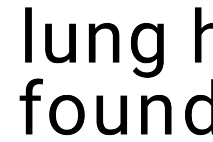 Cover image for Lung Health Foundation