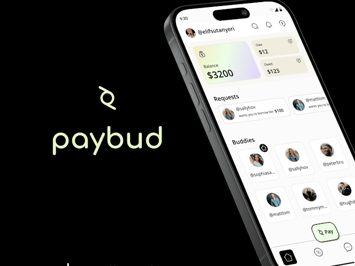 Cover image for Paybud UI&UX Case Study