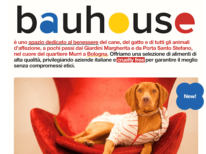 Cover image for Bauhouse Petstore